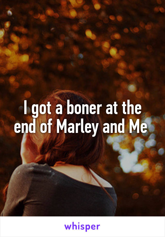 I got a boner at the end of Marley and Me 