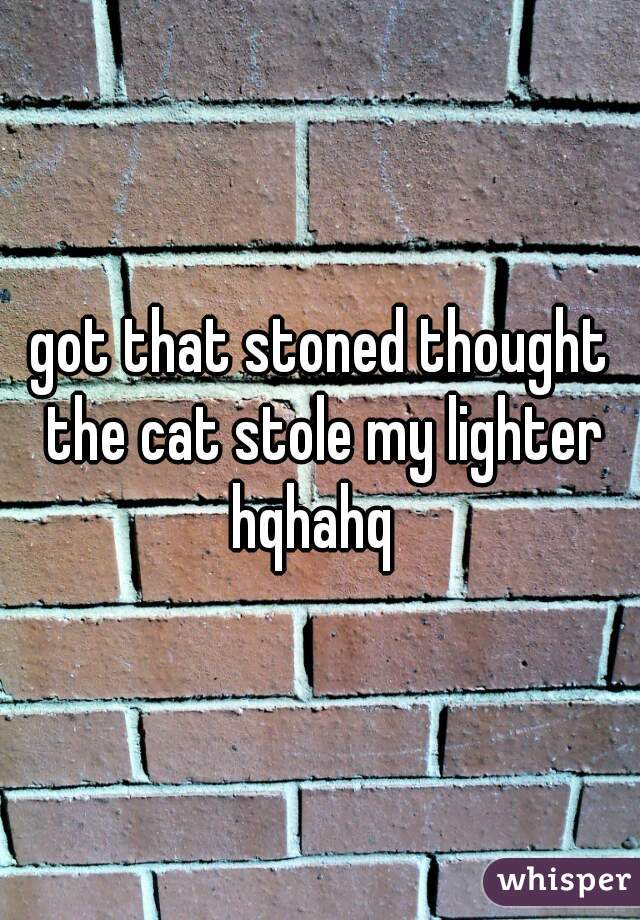 got that stoned thought the cat stole my lighter hqhahq  

