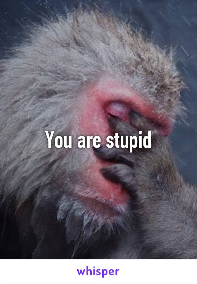 You are stupid