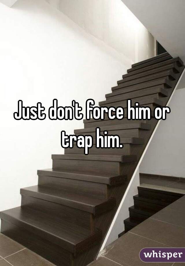 Just don't force him or trap him. 