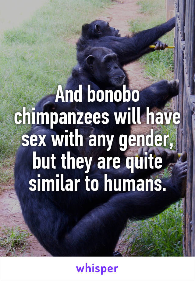 And bonobo chimpanzees will have sex with any gender, but they are quite similar to humans.