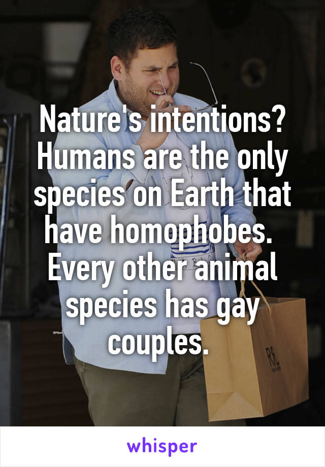 Nature's intentions? Humans are the only species on Earth that have homophobes.  Every other animal species has gay couples. 