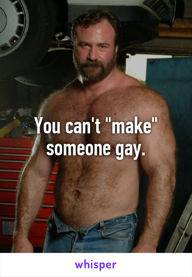 You can't "make" someone gay.