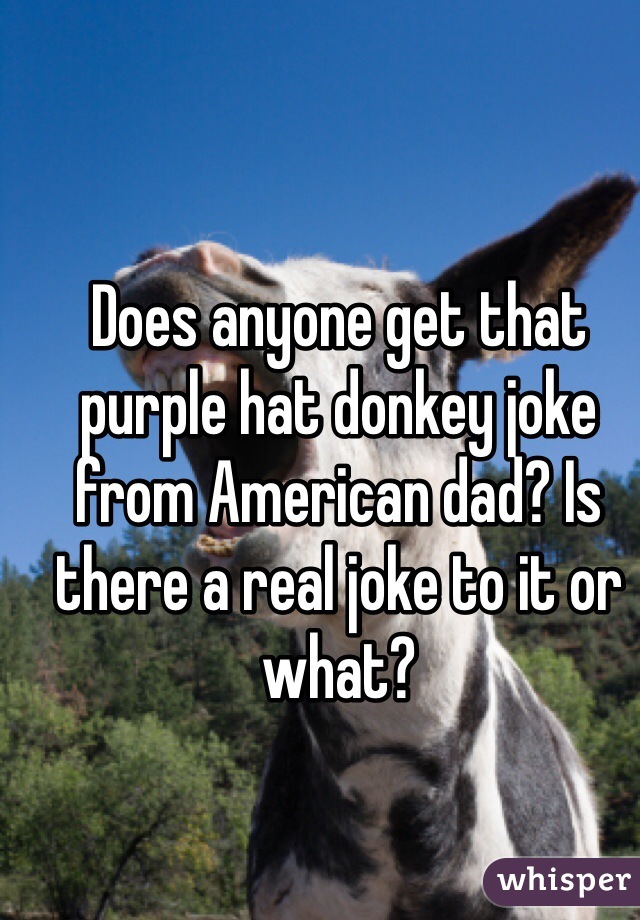 Does anyone get that purple hat donkey joke from American dad? Is there a real joke to it or what?