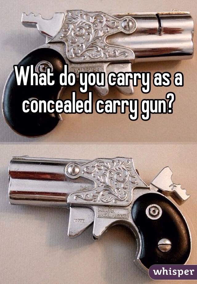 What do you carry as a concealed carry gun? 