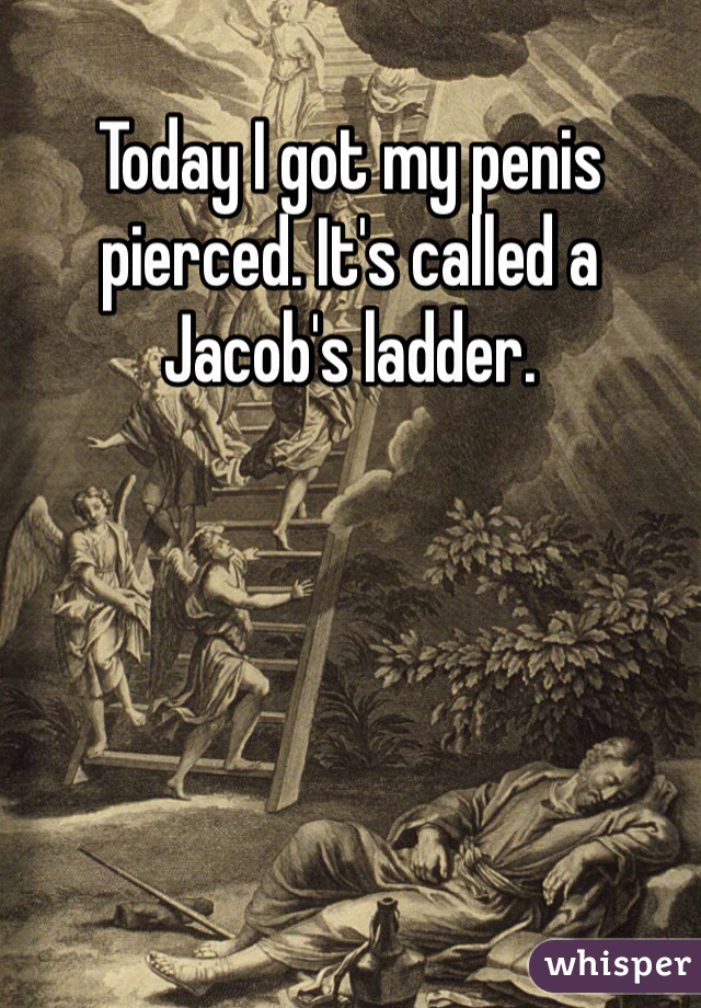 Today I got my penis pierced. It's called a Jacob's ladder. 