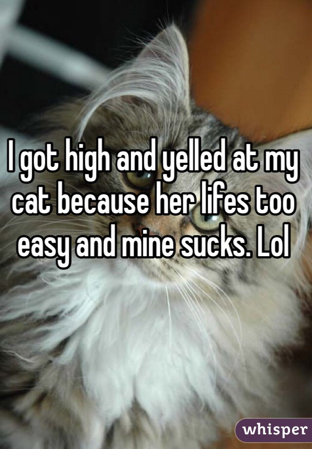 I got high and yelled at my cat because her lifes too easy and mine sucks. Lol