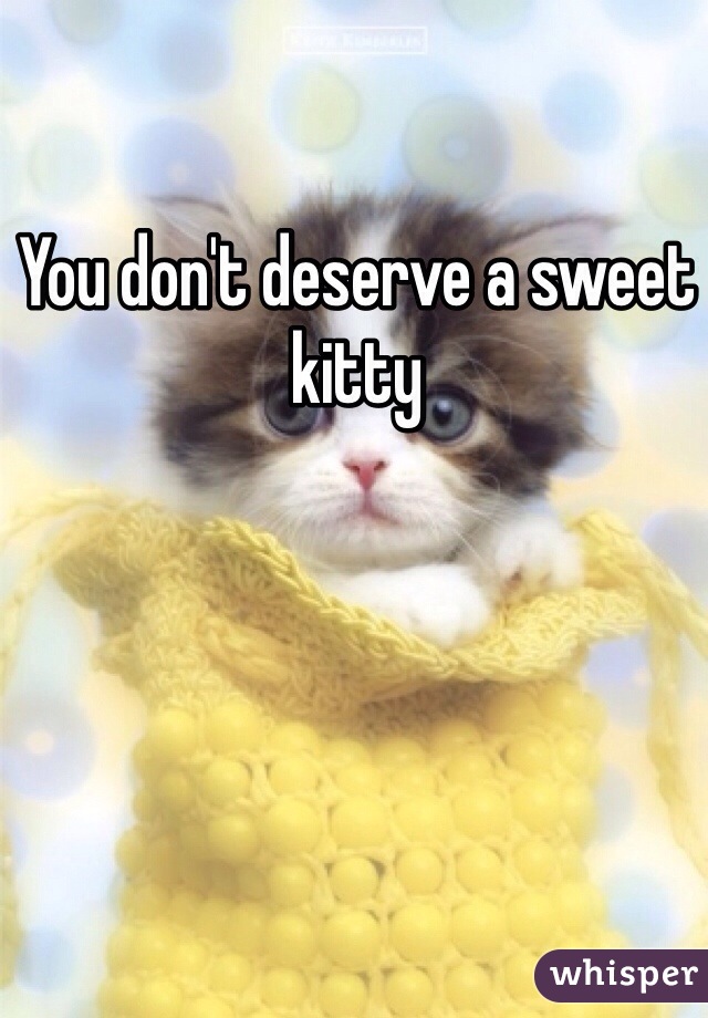 You don't deserve a sweet kitty