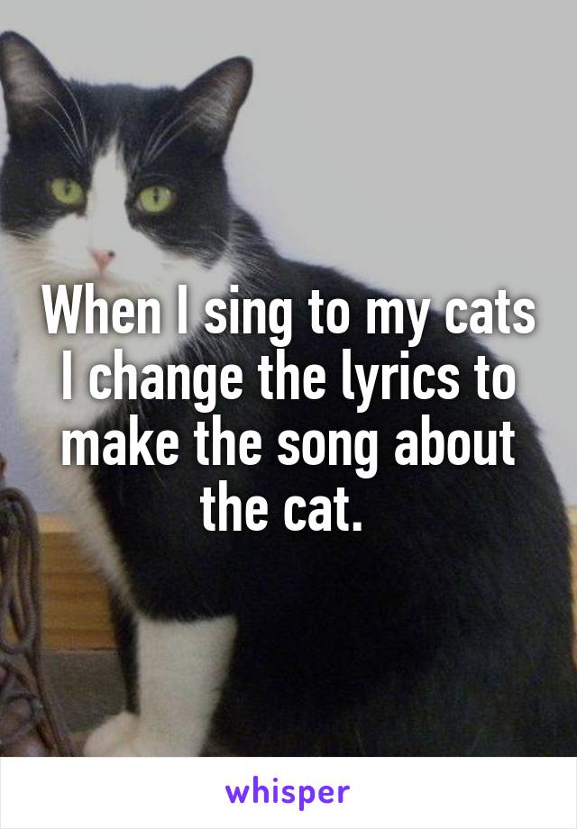 When I sing to my cats I change the lyrics to make the song about the cat. 