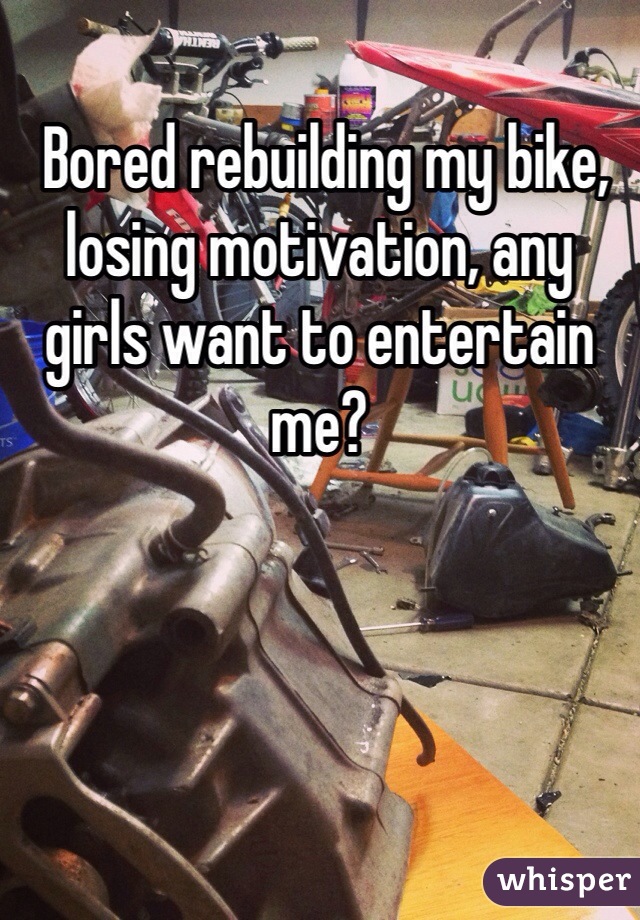  Bored rebuilding my bike, losing motivation, any girls want to entertain me?