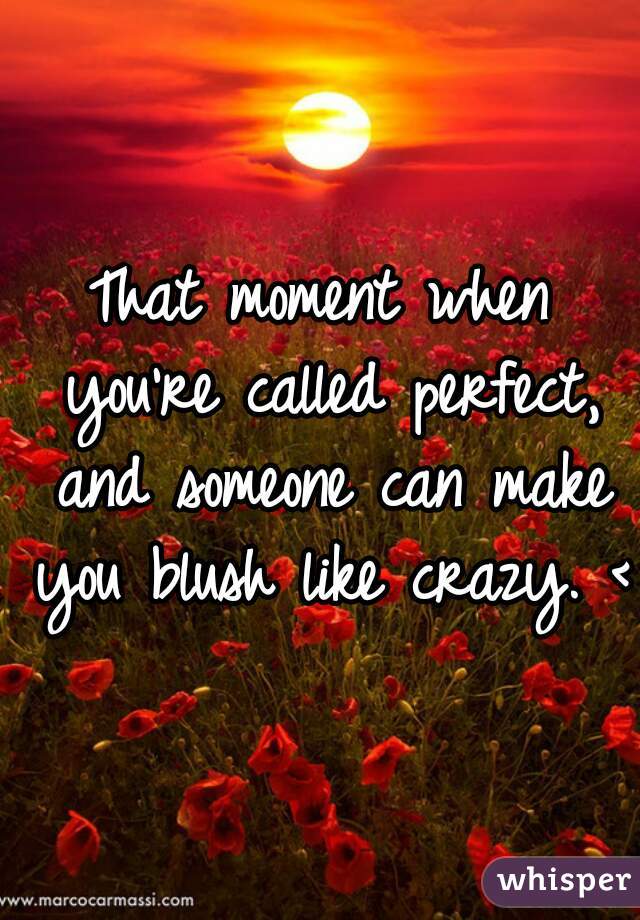That moment when you're called perfect, and someone can make you blush like crazy. <3