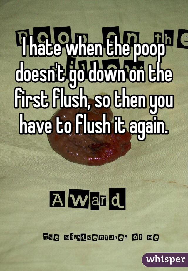 I hate when the poop doesn't go down on the first flush, so then you have to flush it again. 