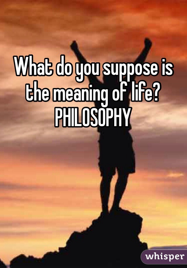 What do you suppose is the meaning of life?
PHILOSOPHY