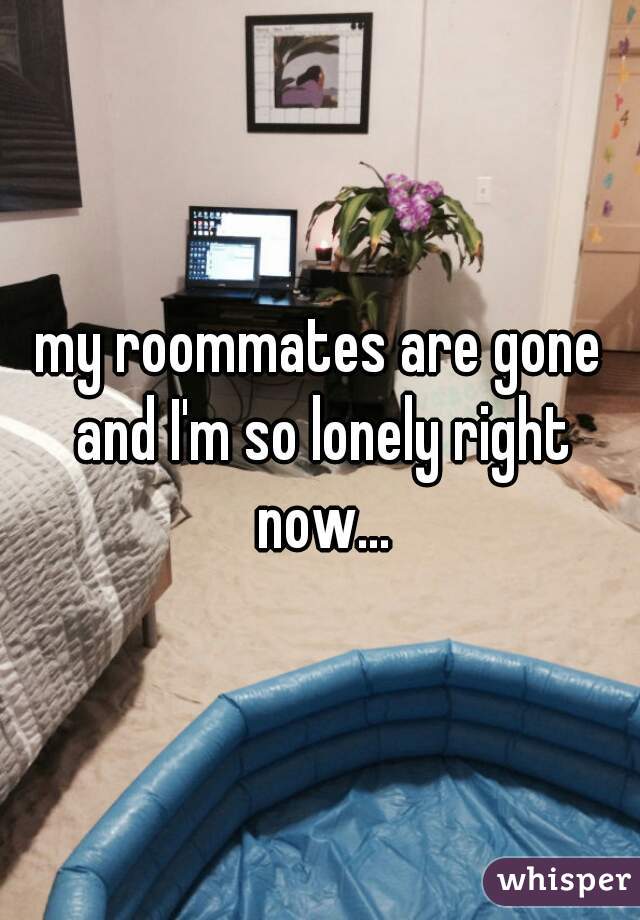 my roommates are gone and I'm so lonely right now...