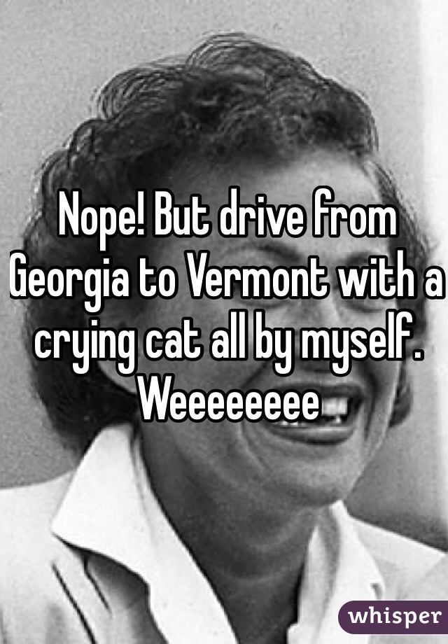 Nope! But drive from Georgia to Vermont with a crying cat all by myself. Weeeeeeee