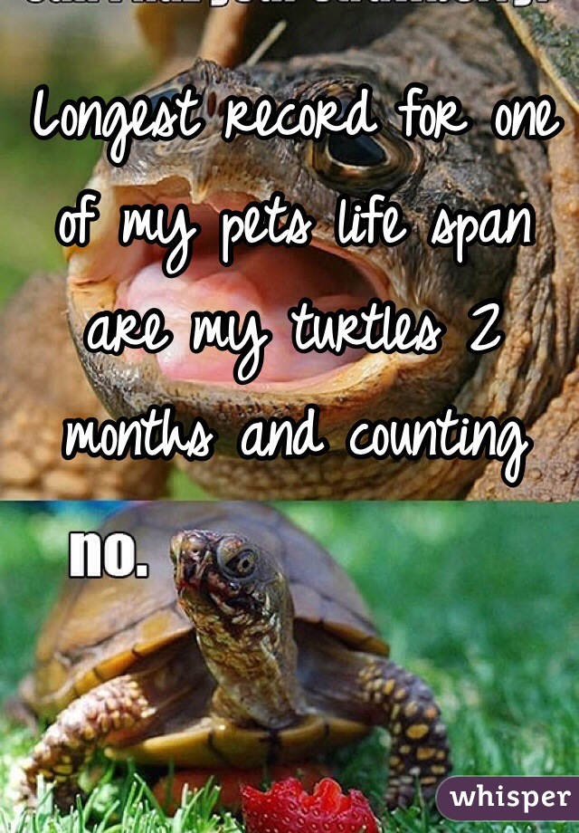 Longest record for one of my pets life span are my turtles 2 months and counting