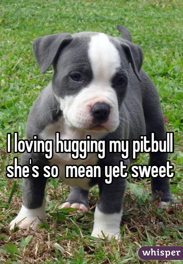 I loving hugging my pitbull she's so  mean yet sweet