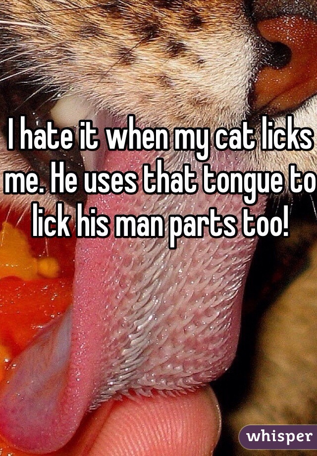 I hate it when my cat licks me. He uses that tongue to lick his man parts too! 