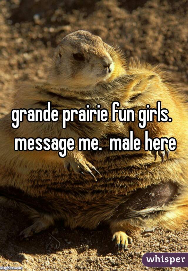 grande prairie fun girls.  message me.  male here