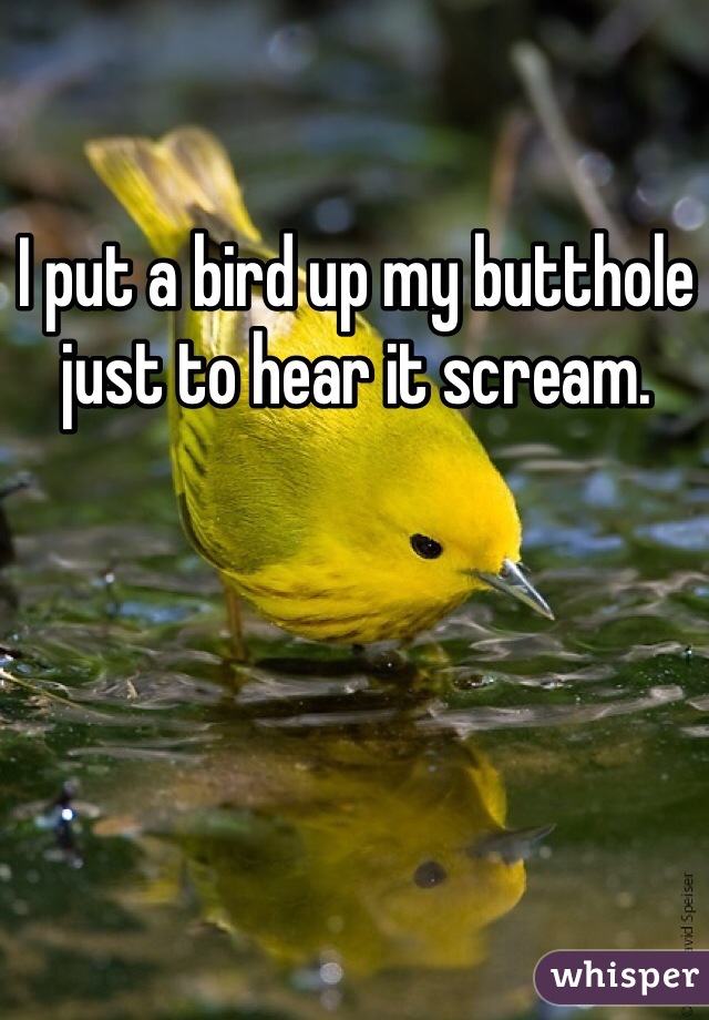 I put a bird up my butthole just to hear it scream.