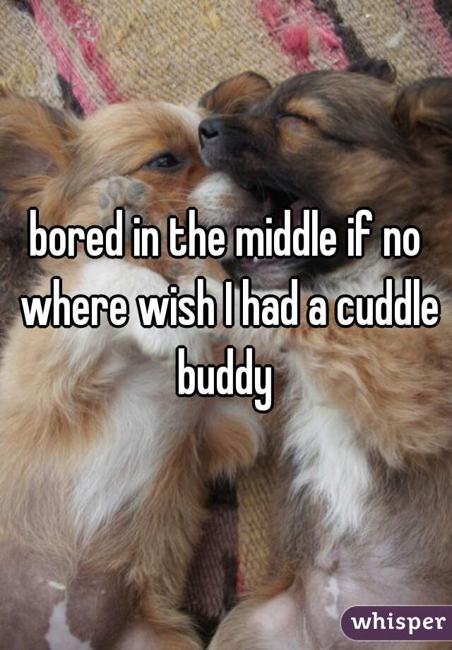bored in the middle if no where wish I had a cuddle buddy 