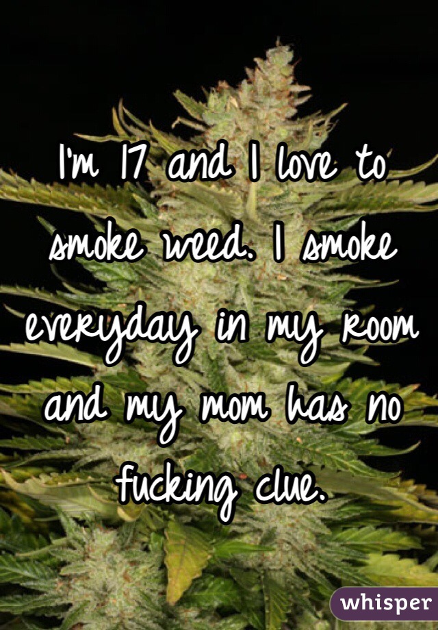 I'm 17 and I love to smoke weed. I smoke everyday in my room and my mom has no fucking clue.   