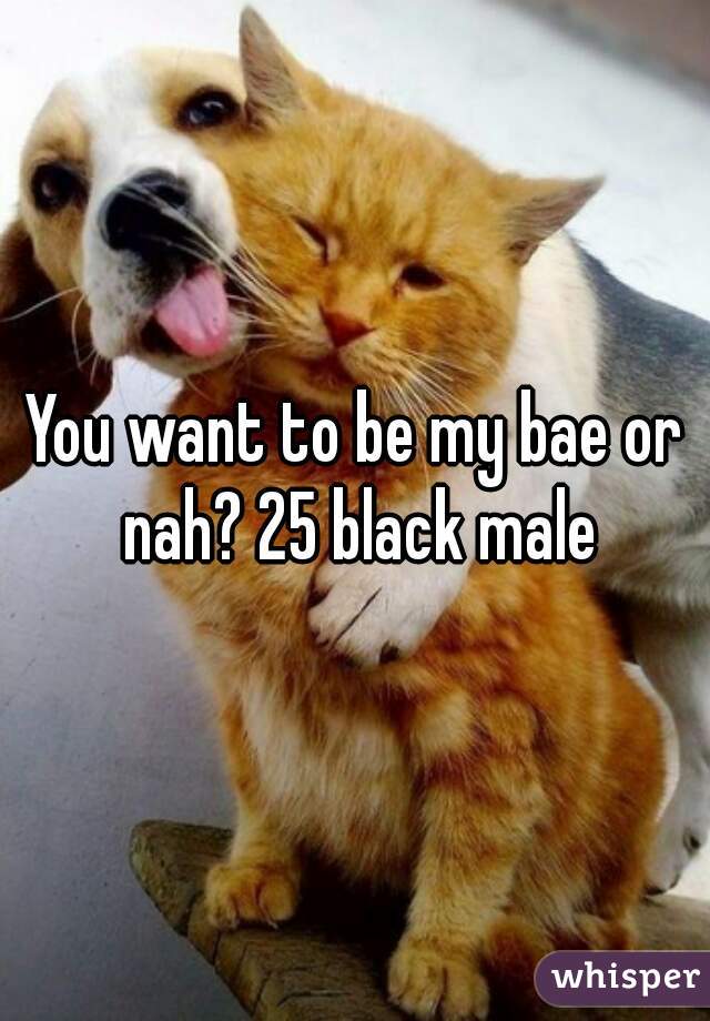You want to be my bae or nah? 25 black male