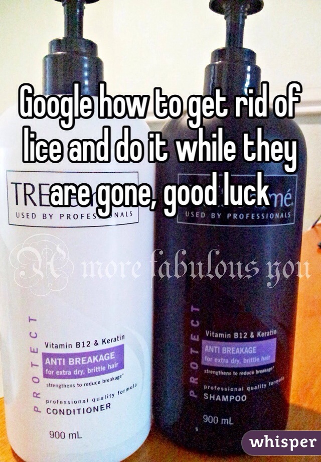 Google how to get rid of lice and do it while they are gone, good luck