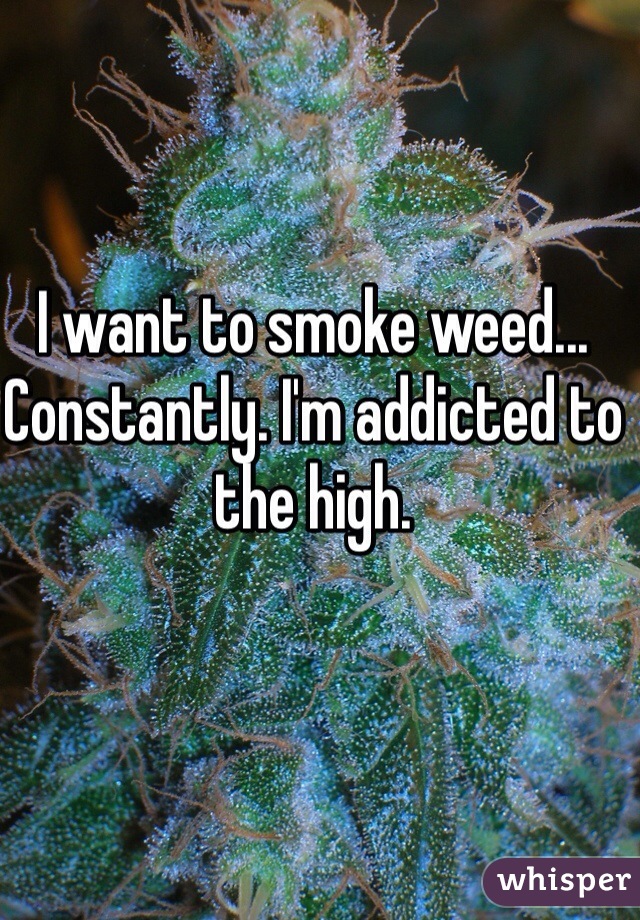 I want to smoke weed... Constantly. I'm addicted to the high.