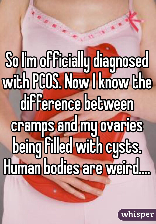 So I'm officially diagnosed with PCOS. Now I know the difference between cramps and my ovaries being filled with cysts. 
Human bodies are weird....