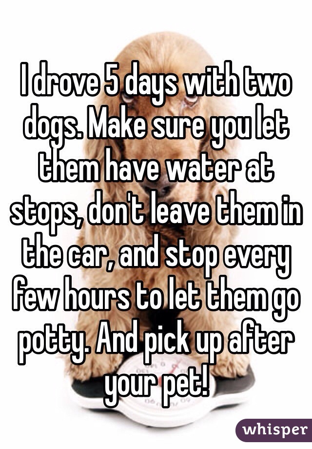 I drove 5 days with two dogs. Make sure you let them have water at stops, don't leave them in the car, and stop every few hours to let them go potty. And pick up after your pet!