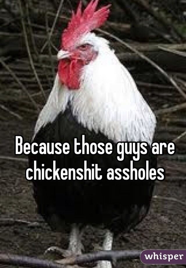 Because those guys are chickenshit assholes