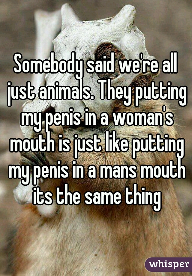 Somebody said we're all just animals. They putting my penis in a woman's mouth is just like putting my penis in a mans mouth its the same thing