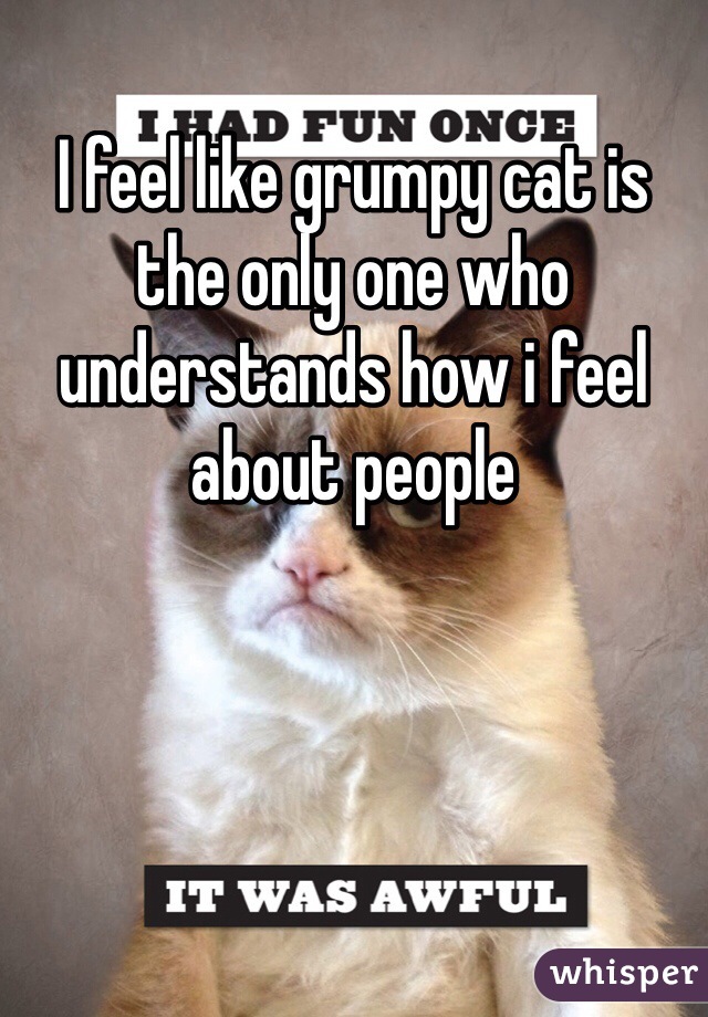 I feel like grumpy cat is the only one who understands how i feel about people