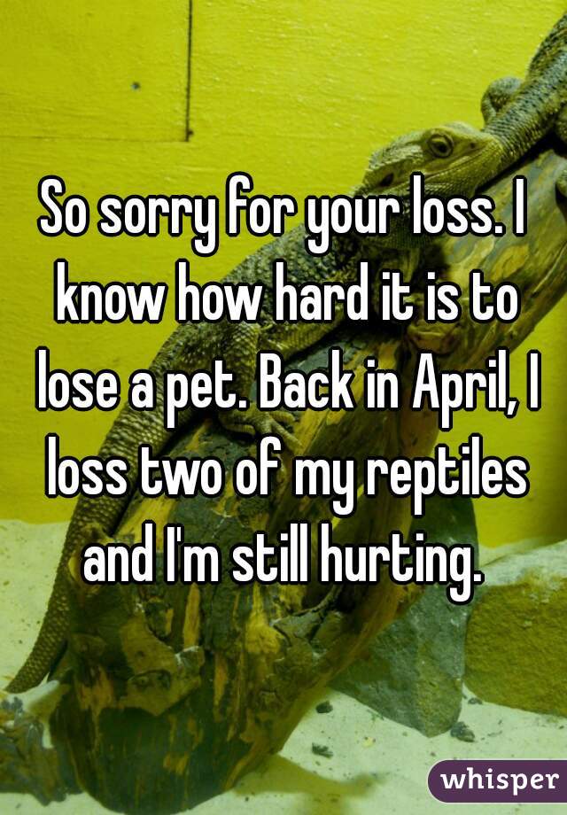 So sorry for your loss. I know how hard it is to lose a pet. Back in April, I loss two of my reptiles and I'm still hurting. 