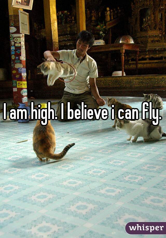 I am high. I believe i can fly.