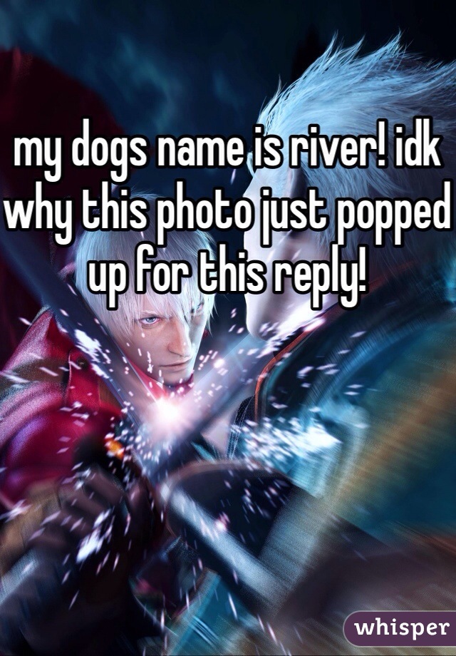 my dogs name is river! idk why this photo just popped up for this reply!
