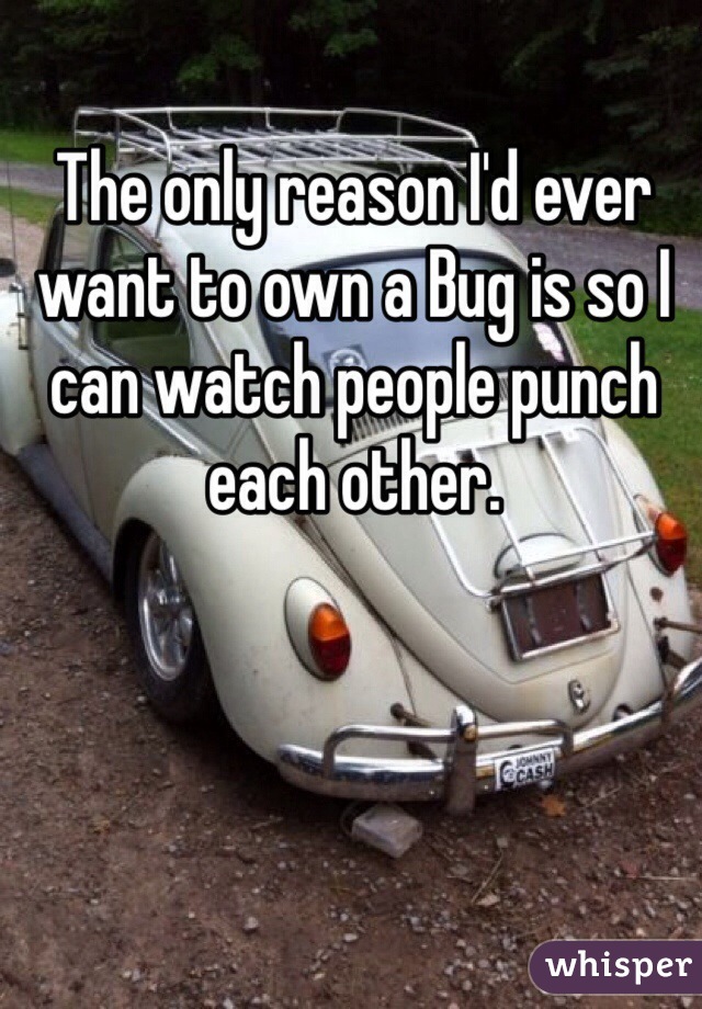 The only reason I'd ever want to own a Bug is so I can watch people punch each other.