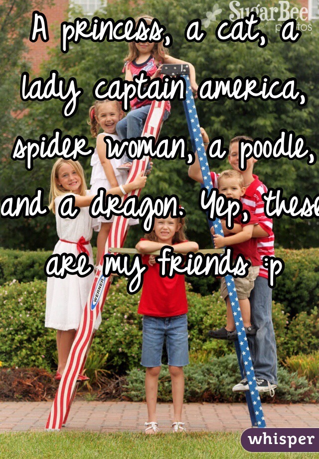 A princess, a cat, a lady captain america, spider woman, a poodle, and a dragon. Yep, these are my friends :p