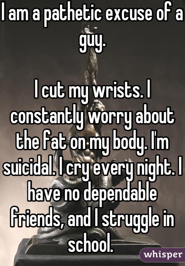 I am a pathetic excuse of a guy.

I cut my wrists. I constantly worry about the fat on my body. I'm suicidal. I cry every night. I have no dependable friends, and I struggle in school. 