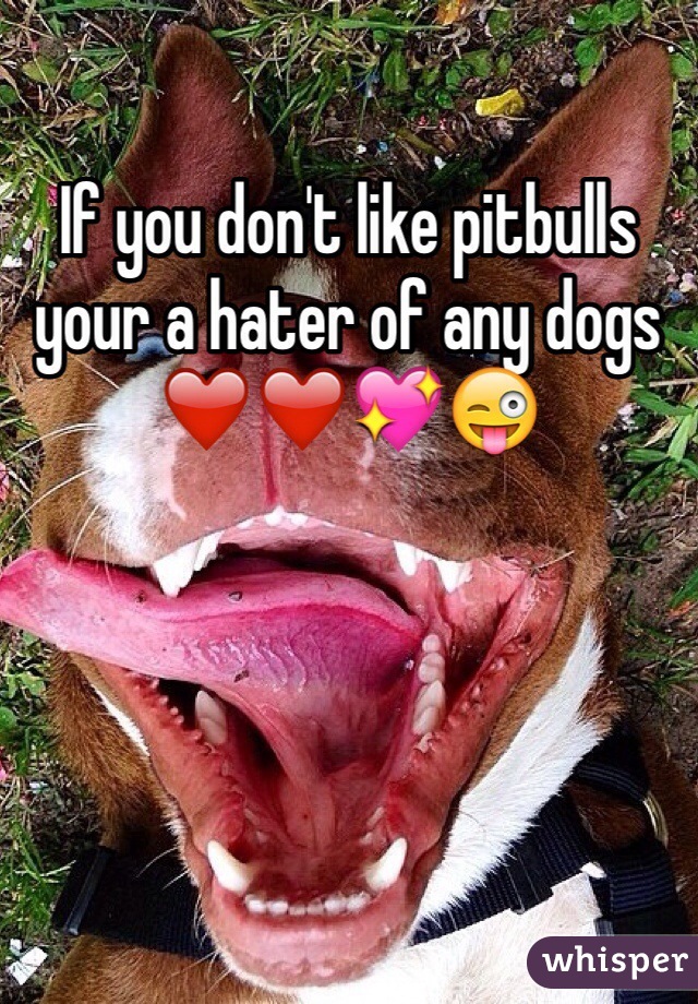 If you don't like pitbulls your a hater of any dogs ❤️❤️💖😜