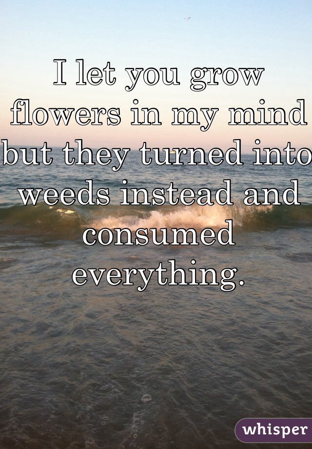 I let you grow flowers in my mind but they turned into weeds instead and consumed everything.
