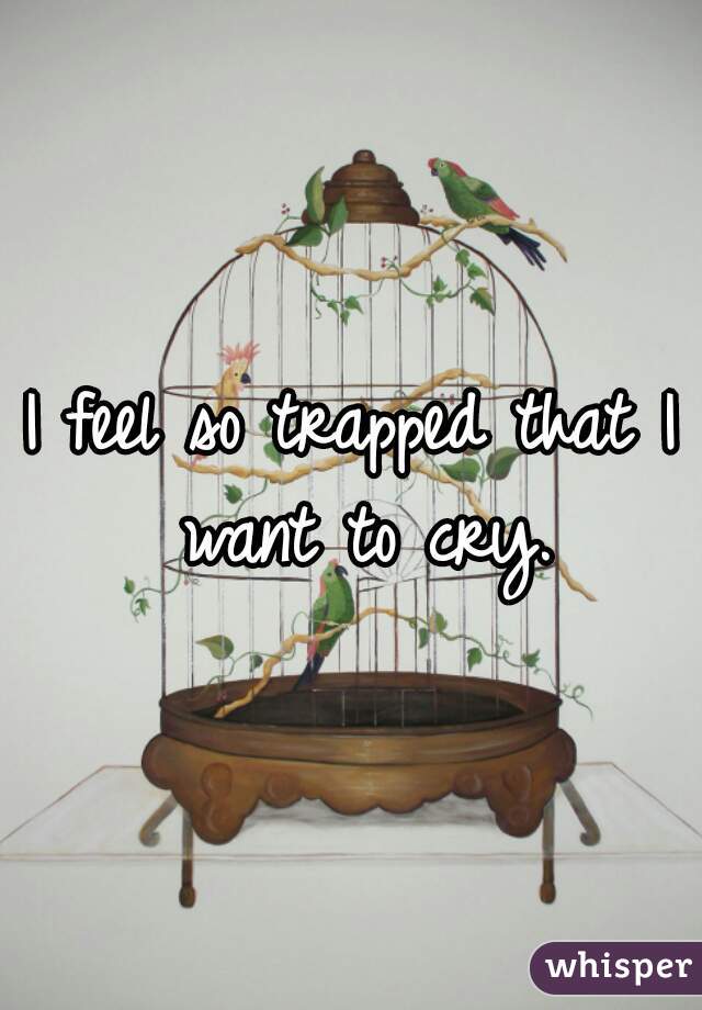 I feel so trapped that I want to cry.
