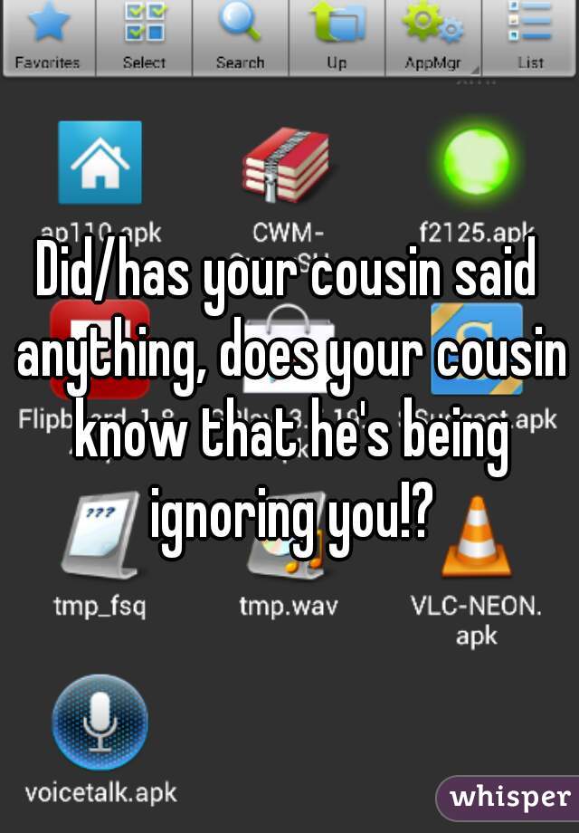 Did/has your cousin said anything, does your cousin know that he's being ignoring you!?