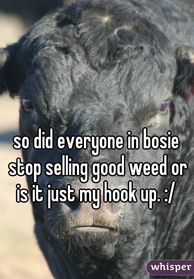 so did everyone in bosie stop selling good weed or is it just my hook up. :/ 