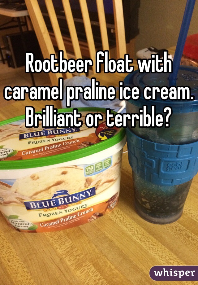Rootbeer float with caramel praline ice cream.
Brilliant or terrible? 