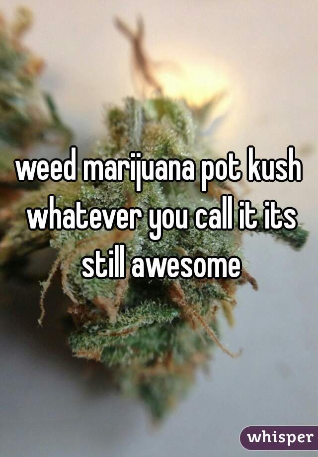 weed marijuana pot kush whatever you call it its still awesome