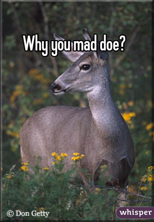 Why you mad doe?