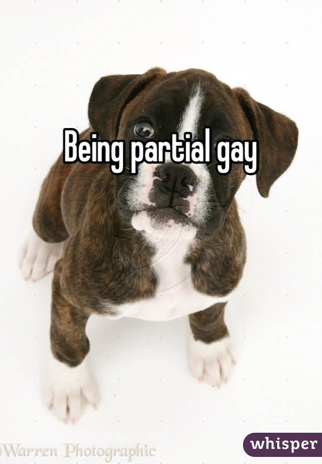 Being partial gay 