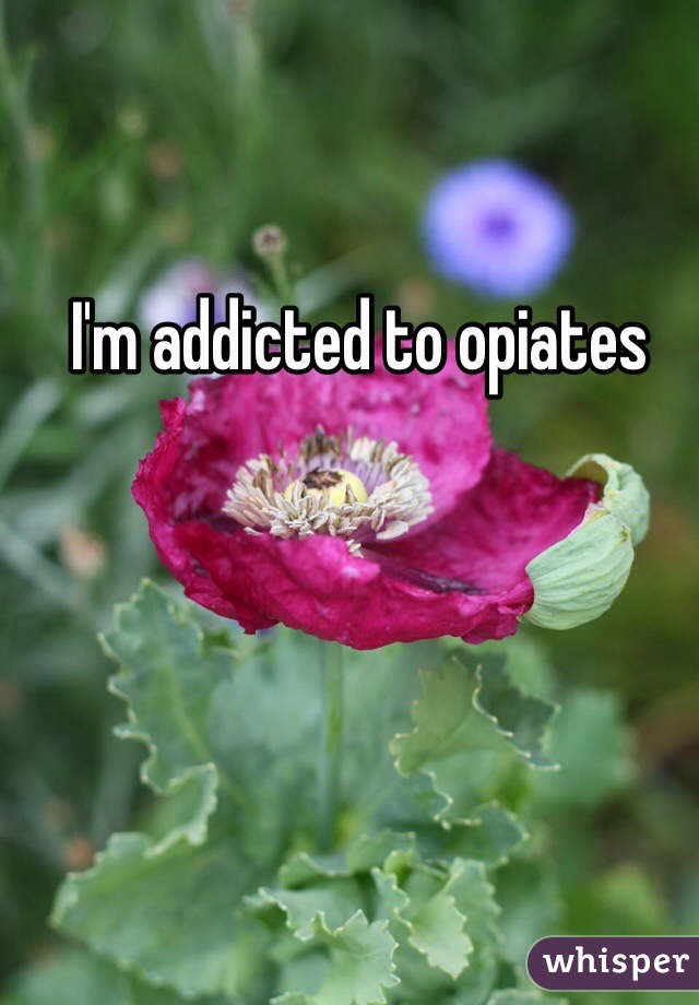 I'm addicted to opiates